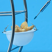 WATER SCIENCE TV, Perfect Renew