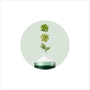 Ingredient 1 image