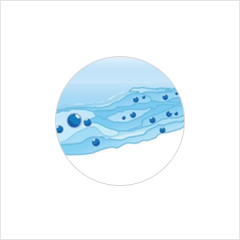 key point image 02