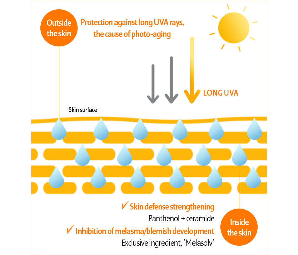 Protection against long UVA rays, the cause of photo-aging/Skin defense strengthening Panthenol+ ceramide/Inhibition of melasma/blemish development Exclusive ingredient, “Melasolv